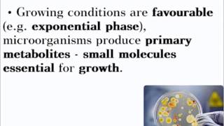 Biotechnology  ALevel A2 Biology Revision [upl. by Yedoc]