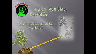 Herbstgestaltung Fichte  Picea abies [upl. by Quin]