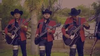 Los Bohemios de Sinaloa ft Los Del Arroyo quotYa Nadie Quiere Servirquot Video Oficial [upl. by Enibas]