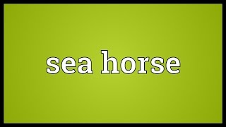 Sea horse Meaning [upl. by Kylynn]