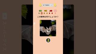 夜の動物を当ててみてください！🌌🦉動物クイズ 夜の動物 楽しいクイズ 動物を当てる [upl. by Toft]