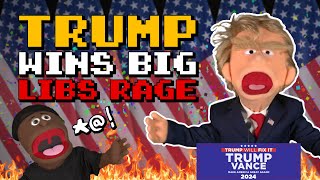 VICTORY Trump WINS Bigly as Libs RAGE  Puppetgate Ep 53 [upl. by Barnebas473]