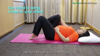 4 Exercises for Pelvic Girdle Pain Part 2 [upl. by Cinamod]