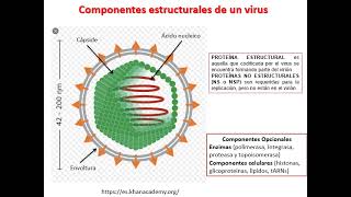 seminario 12  Generalidades de virología [upl. by Tamsky]