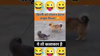 Oscar winning actor 🤣🐕🧐 shorts funny trending [upl. by Arley]