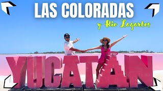 ✅LAS COLORADAS y RIO LAGARTOS 2024 ►El Mejor tour de Cancún🦩 Costos y Actividades [upl. by Yemac80]