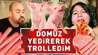 DOMUZ YEDİREREK TROLLEDİM [upl. by Kori625]