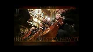 Wiener Philharmoniker  News years concert 2012 [upl. by Frederic]