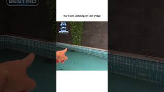 isne to pura swimming pool clean Kr deyatriggeredinsaan fukrainsaan dimplemalhanvlogs [upl. by Pentha783]