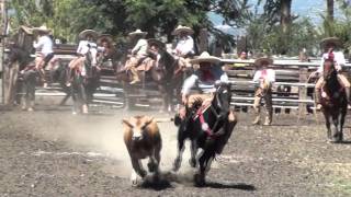 Coleaderos Charreada 2011 SALVATIERRA GUANAJUATO [upl. by Artek]