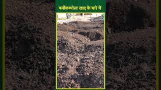 वर्मीकम्पोस्ट खाद को बेहतर बनाने के लिए उसमें ये चीजें मिलाएं Organic Farming Vermicompost Business [upl. by Ycinuq]