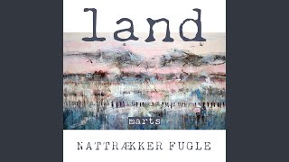 Nattrækker Fugle [upl. by Notrab]