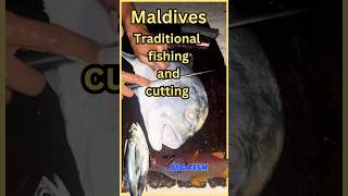 Maldives traditional fishing  fish cooking  maldives fishing fishingmalayalam [upl. by Yednarb867]