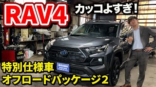 【RAV4】特別仕様車アドベンチャーオフロードパッケージ２！かっこよすぎるぞ！ [upl. by Iolande]