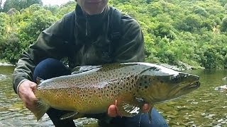 Fly Fishing New Zealand  Dry fly trout quotBlown in the windquot [upl. by Socher767]