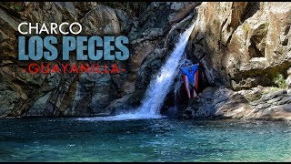 🐟 Charco LOS PECES Guayanilla 💦Cascada de más de 100 PIES de ALTURA [upl. by Sassan255]