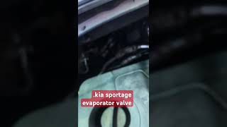 kia sportage evaporator valve automobile caracservice carac [upl. by Korman]