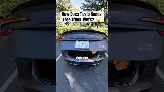 How Does Hands Free Trunk Work on My Tesla 🤔😳 [upl. by Ardnahsal]