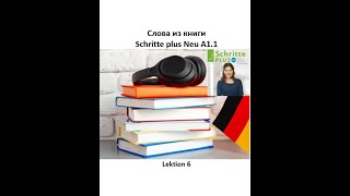 Слова из книги Schritte plus Neu A11 Lektion 6  словарный запас немецкого по лекциям [upl. by Ellenad420]