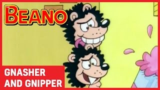 Gnasher and Gnipper  Best Bits  Beano All Stars [upl. by Asinet]