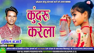 Kundru Karela  Cg Song 2024  Sunil Banjare  Chhattisgarhi Song  SLV STUDIO BILASPUR [upl. by Arjan]