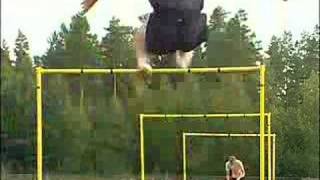 Stefan Holm Hurdles Training [upl. by Dilan]