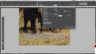 Outer glow effect in indesign tutorial adobesoftware adobedesign [upl. by Lorita]