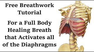 New Original Breathwork Naturally Activates Diaphragms For Deeper Breath [upl. by Jepson]