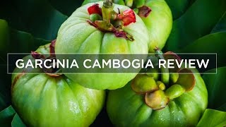 Garcinia Cambogia Weight Loss amp Side Effects  Review [upl. by Daniela]