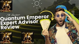 Quantum Emperor Expert Advisor Review Scam or viable system [upl. by Aksehcnarf]