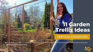 11 Garden Trellis Ideas [upl. by Olcott710]