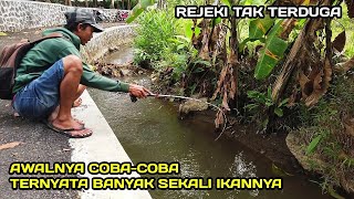 Panen Raya Mancing Di Selokan Ternyata Banyak ikanya LM04 [upl. by Ydnem64]