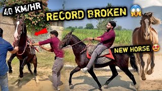 PEHELWAN Farm Pr Naye Ghode Ne Aate Hi Saare Record Tod Diye🔥😨  CONGRATULATIONS 🥳 [upl. by Algie]