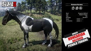 Get the Hungarian Halfbred Piebald Tobiano early in Chapter 2 [upl. by Annerahs177]