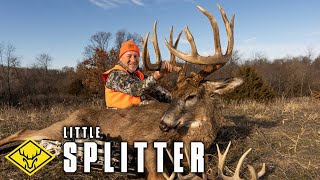 quotLittle Splitterquot  A 55yr old Buck turns into a GIANT [upl. by Halilad]