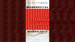 【ステレオグラム】☀マジカルアイ解答集☀みなさん合っていたでしょうか？？shortsステレオグラムstereograms視力回復3D立体視3Dvideoマジカルアイ [upl. by Anairotciv463]