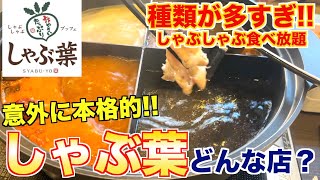 【食レポ】しゃぶ葉ってどんな店？焼肉屋が解説します！ [upl. by Hughes40]