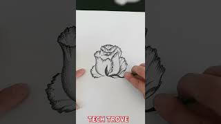 From Sketch to Bloom Easy and Beautiful Flower Drawing Ideas [upl. by Phipps799]