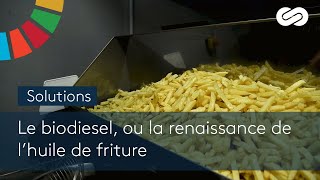 Le biodiesel ou la renaissance de lhuile de friture  SOLUTIONS [upl. by Iatnwahs532]