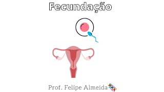 Fecundação Humana  Prof Felipe Almeida shorts [upl. by Nee]