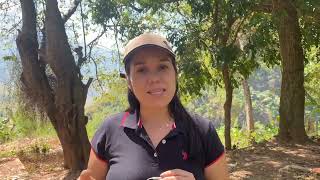 Protegemos el bosque en la Serranía del Perijá de la mano de la comunidad indígena Yupka Iroka [upl. by Friedlander64]