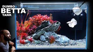 Dumbo Betta Tank AMAZING Red Plant Aquascape Tutorial [upl. by Elisabeth]