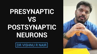 Presynaptic vs Postsynaptic neurons  docvishnu [upl. by Nivag333]