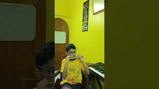 ja re jare ure jare pakhi covered on mouth organ [upl. by Enytsirk]