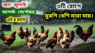 বর্ষাশরৎকালে ৩টি রোগে মুরগি বেশি মারা যাচ্ছে। মুরগিগুলো সুস্থ রাখার উপায়। দেশিমুরগিপালনপদ্ধতি [upl. by Mintun73]