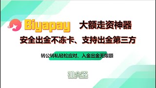 BIYAPAY大额走资神器支持出金到第三方提现出金手续费051出金不冻卡USDT炒港美股USDT无损兑换USD年化72活期利息 [upl. by Otit]