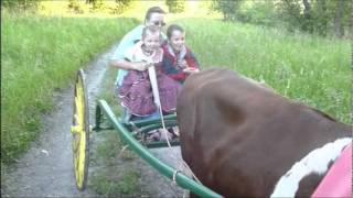 With Grandma by Ox Cart [upl. by Haikezeh]