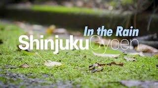 TokyoWalks │ 비 오는 날의 신주쿠교엔ShinjukuGyoen In the Rain雨の日新宿御苑 [upl. by Terrance]