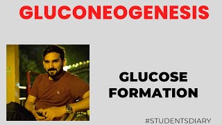 Gluconeogenesis Regulation of Gluconeogenesis Glucose Formation from noncarbohydrates Precursor [upl. by Nosiaj783]