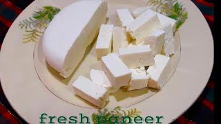 घरमें पनीर बनाने का सही तरीका  paneer recipes  Indian cottage cheese making paneer [upl. by Llehcor]